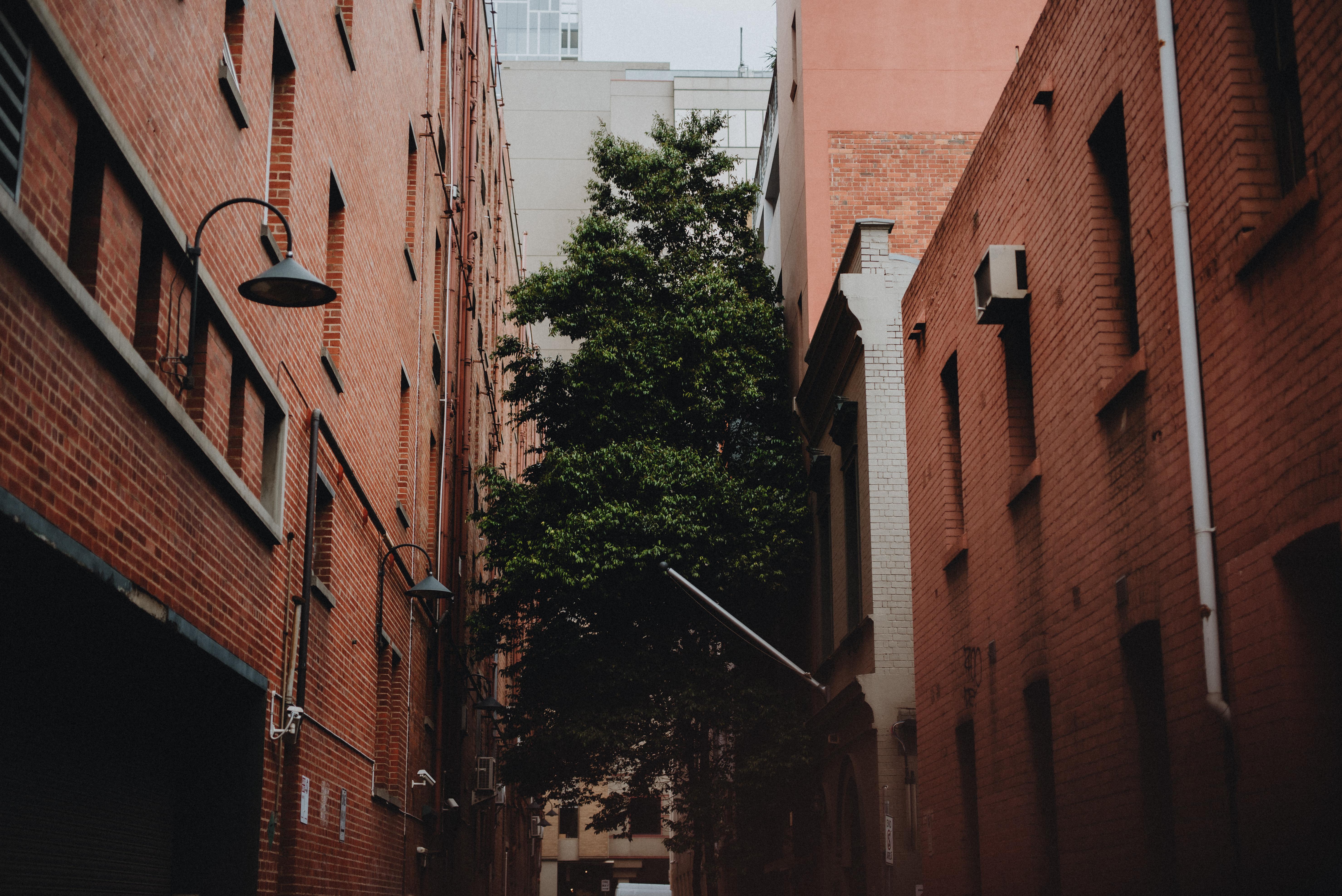 Lancemore Crossley St. Melbourne City Exterior foto The alleyway of the building